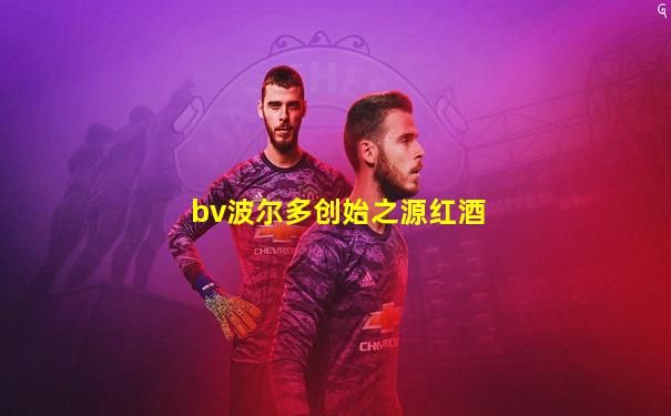 bv波尔多创始之源红酒
