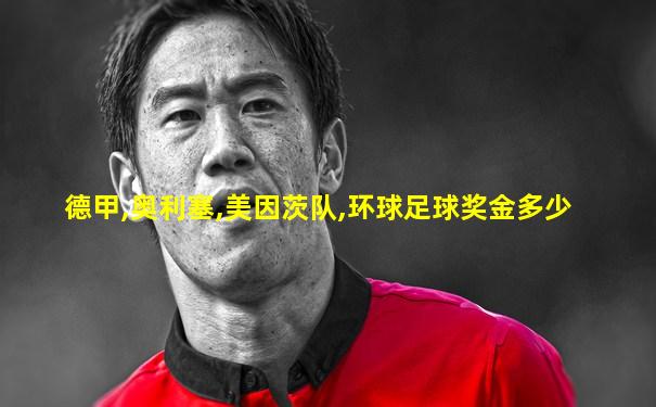 德甲,奥利塞,美因茨队,环球足球奖金多少